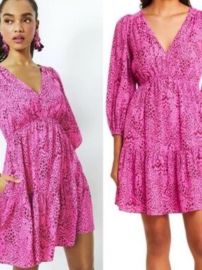 Lilly Pulitzer Deacon Dress